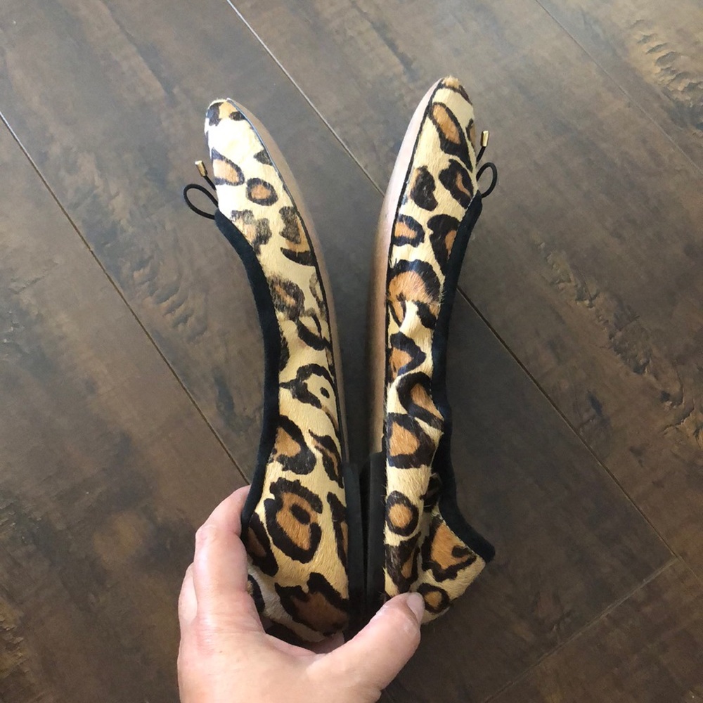 Sam Edelman Cheetah Ballet flats - Picture 6 of 8